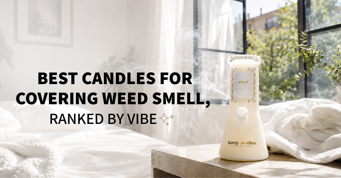  best candles for covering weed smell featuring sploof, classic hippie, cali sober, manchild, contact high, on grass and lavender haze bong candles